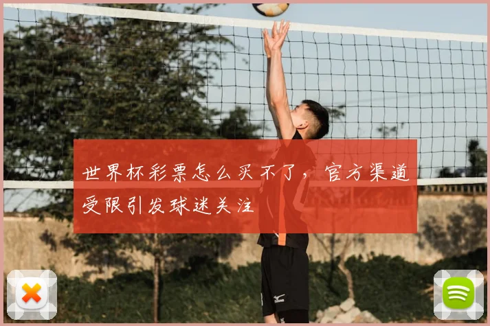 世界杯彩票怎么买不了,官方渠道受限引发球迷关注