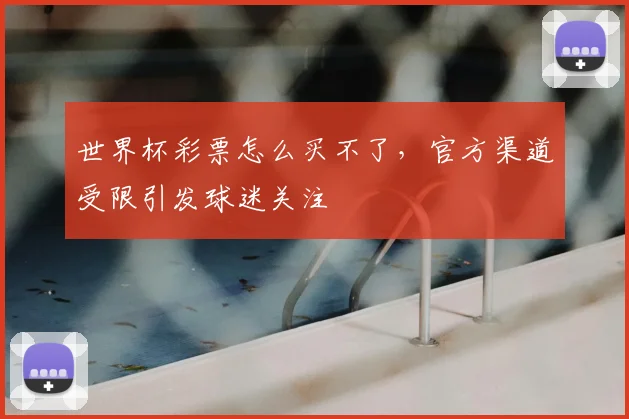 世界杯彩票怎么买不了，官方渠道受限引发球迷关注