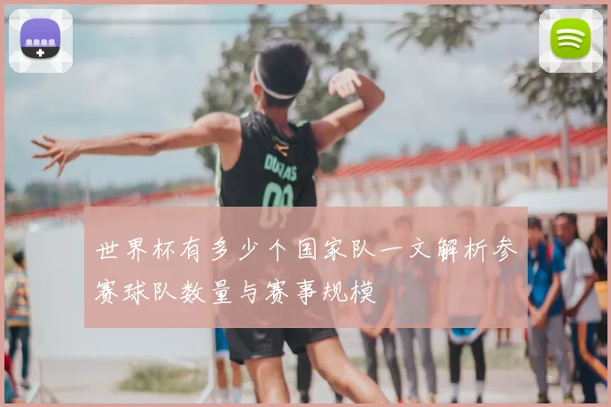 世界杯有多少个国家队一文解析参赛球队数量与赛事规模